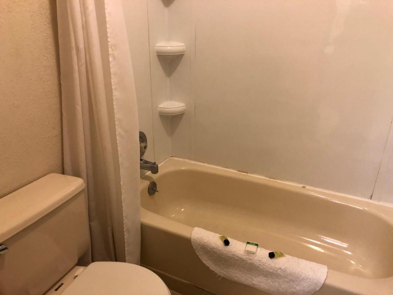 The Golden Bear Motel Ток Экстерьер фото